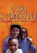 I Am a Promise: The Children of Stanton Elementary School poster image