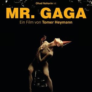 Mr. Gaga photo 5
