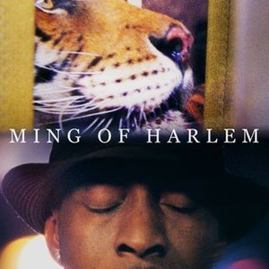 Ming of Harlem: Twenty One Storeys in the Air photo 4