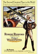 The Great Waldo Pepper poster image
