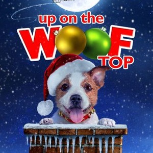 Up on the Wooftop photo 14