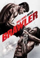 Brawler poster image