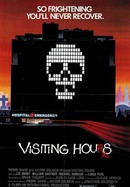 Visiting Hours poster image