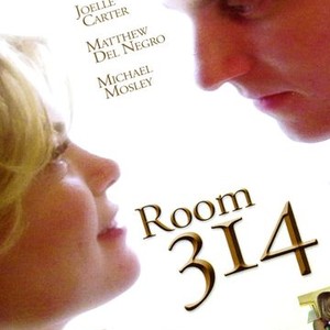 Room 314 photo 3
