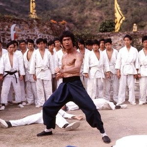 I Am Bruce Lee photo 5