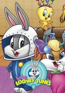 Baby Looney Tunes poster image