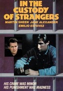 In the Custody of Strangers poster image