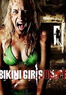 Bikini Girls on Ice poster image