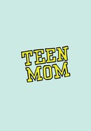 Teen Mom poster image