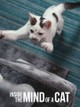 Inside the Mind of a Cat