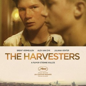 The Harvesters (2019) photo 2