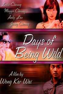 Days of Being Wild poster