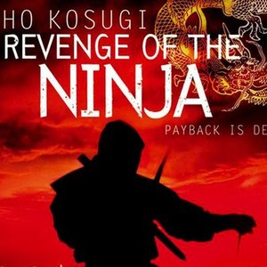 Revenge of the Ninja photo 1