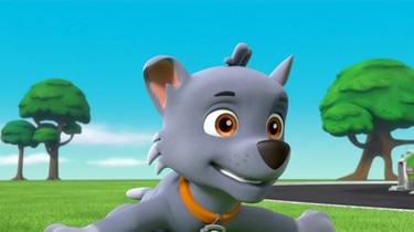 Paw patrol ultimate rescue pups and the hidden golden sales bones