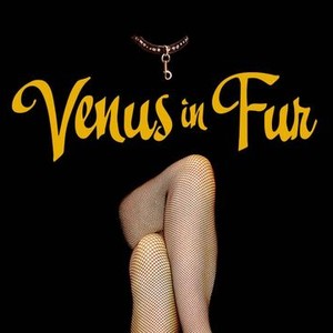 Venus in Fur photo 13