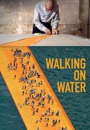 Walking on Water poster image