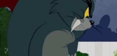 The Tom and Jerry Show - Rotten Tomatoes