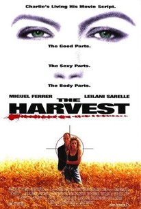 The Harvest (1993) - Rotten Tomatoes