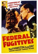 Federal Fugitives poster image