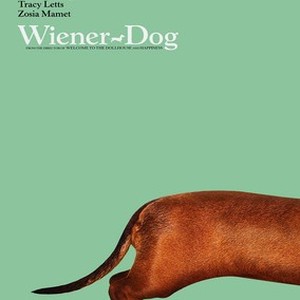 Wiener-Dog photo 3