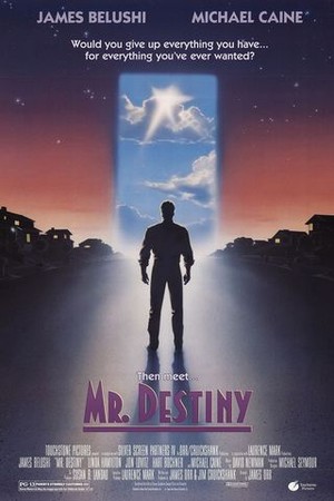 Mr. Destiny poster