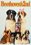 Beethoven's 2nd poster image