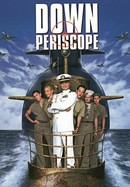 Down Periscope poster image