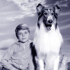 Lassie