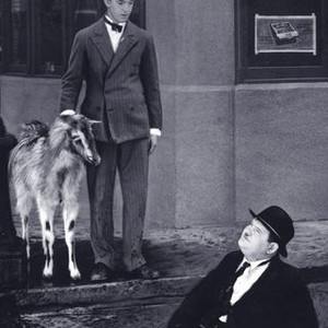 The Further Perils of Laurel and Hardy (1967) photo 8