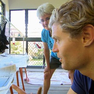 Dr. Chris: Pet Vet