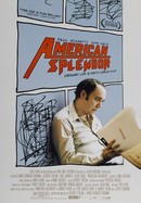 American Splendor poster image