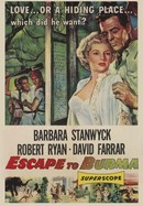 Escape to Burma poster image