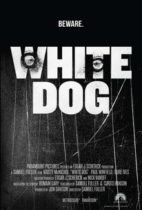 Watch trailer for White Dog