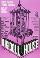 The Big Doll House poster image