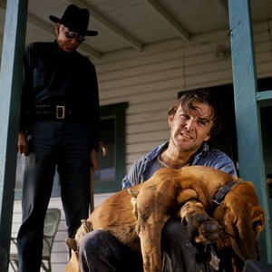 Cool Hand Luke Movie Quotes Rotten Tomatoes