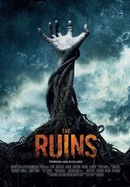 The Ruins poster image
