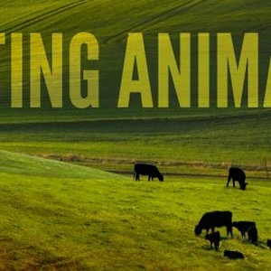 Eating Animals - Rotten Tomatoes
