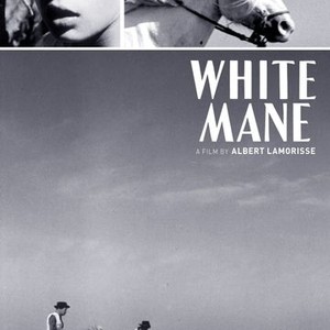 White Mane (1952) photo 13