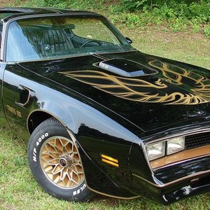 Bandit Beauty And The Bandit Rotten Tomatoes