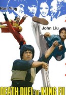 Death Duel of Kung Fu poster image