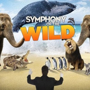 Symphony of the Wild photo 1