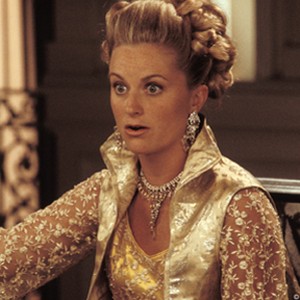 AMY POEHLER stars as Natalie Vanderpark in DreamWorks Pictures' and Columbia Pictures' comedy ENVY. photo 1