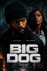 Poster for 