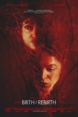 birth/rebirth poster