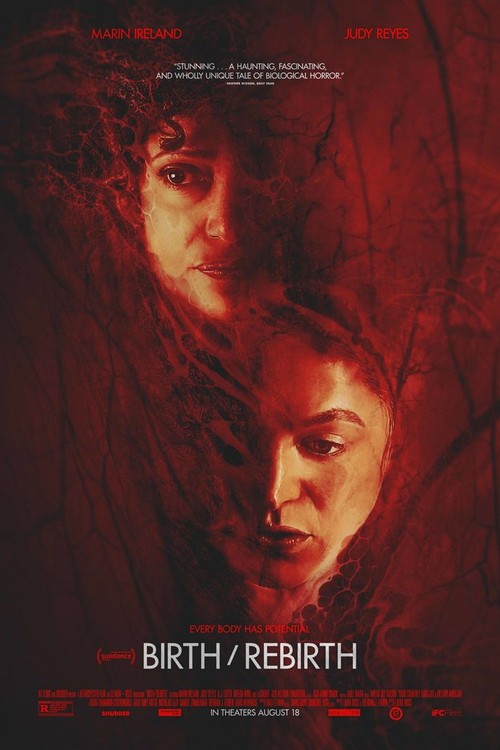 birth/rebirth poster