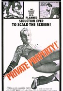 Private Property poster image