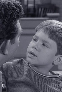 The Andy Griffith Show: Season 2, Episode 19 - Rotten Tomatoes