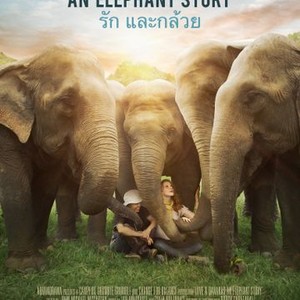 Love & Bananas: An Elephant Story (2018) photo 3