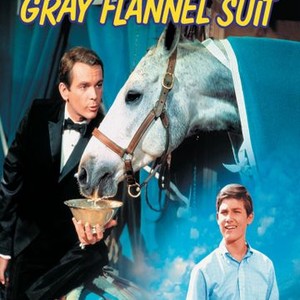 The Horse in the Gray Flannel Suit photo 6