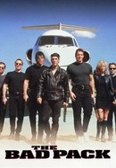 The Bad Pack poster image